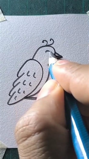 Easy bird drawing | All About Art