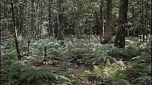 Requiem pour un vampire.Film-streamingvfhd.com