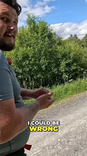 Mystery Yellow Fruit : What Did Bean Eat ? #camping #eddiehall #wildcamping #fyp #scotland