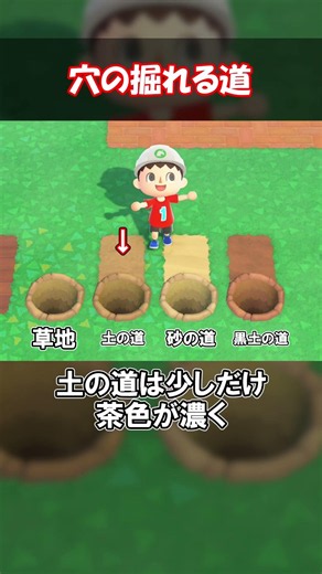 I Want to Know Which Paths You Can Dig Holes In! 【Animal Crossing】@Honoge