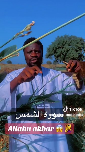 Pour Toi Challenge sur TikTok