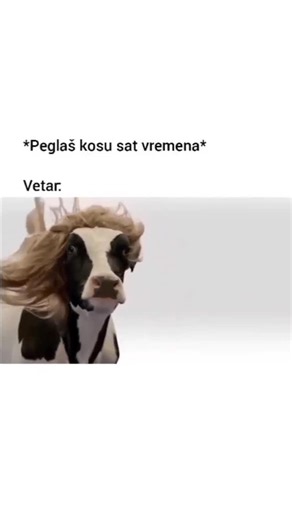 Novica Brajović on Instagram: "Vjetar: Reset . . . 📌 Izvor: X / nepoznat autor"