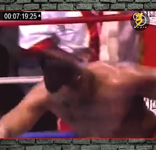 865K views · 3.1K reactions | Larry Holmes Vs Eric Esch  one of the greatest heavyweight champions that ever  | SFB | Facebook