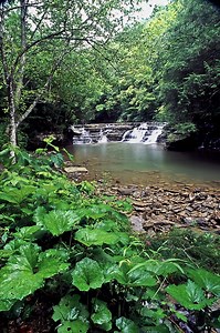 Camp Creek State Park and Forest in Camp Creek, WV - Almost Heaven - West Virginia