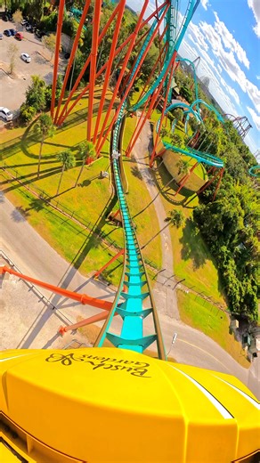 7 INVERSIONS and lots of action! 🔥 Crazy this used to be Florida’s tallest, fastest, and longest roller coaster! 😵‍💫🎢 🎥: National Coasters® Coaster Name: Kumba • Park Name: Busch Gardens Tampa Bay • Fun Fact: When Kumba opened in 1993, it had the tallest vertical loop in the world! It was also the tallest, longest, and fastest roller coaster in Florida when it opened. • Opening Date: April 21, 1993 • Closing Date: Still in operation • Location: #Tampa, #Florida, United States • Manufacturer