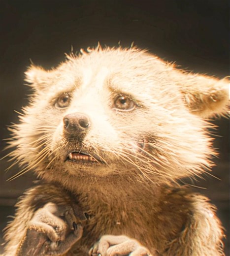 "I Made You" | Guardians Of The Galaxy 3 Sad Edit | Song - Kamin (Slowed) #trending #shorts