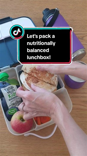 Nutritionally Balanced Lunchbox Ideas for Kids