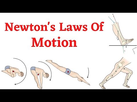 Biomechanics. Newton's Laws Of Motion.