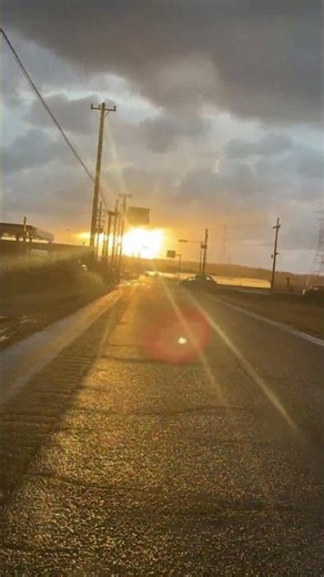 🌟 From Idea to Launch with AI #FoundUps #pAVS