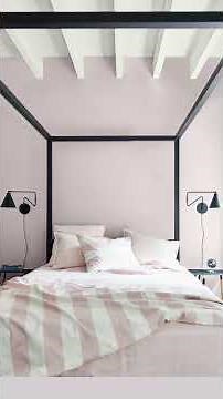 Color Intro: New Age 1444 | Benjamin Moore Color Trends 2023