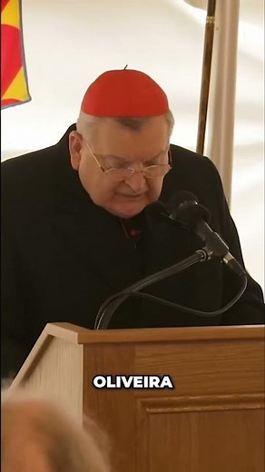 Cardinal Burke on St. Louis de Montfort and Counter-Revolution