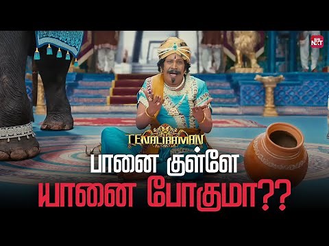 Iconic Comedy Scene from Tenaliraman | Vadivelu | Sun NXT