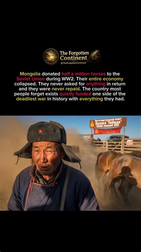 Mongolia Quietly Funded WW2 With Everything They Had and Were Never Repaid