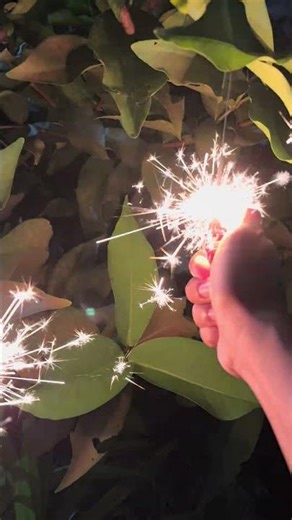 Kembang api fireworks