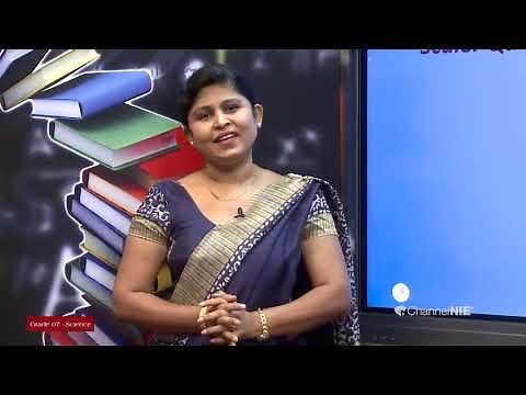 Grade 07 - Science (English Medium) - Force and motion - P 05