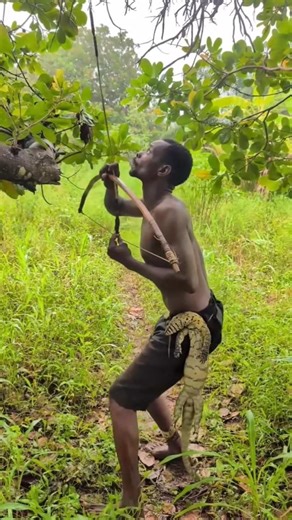 ​Precision at the Treetops! Bush Awareness!#shorts #wildlife #africa