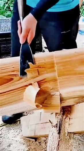 cool technique for peeling tree bark #shorts