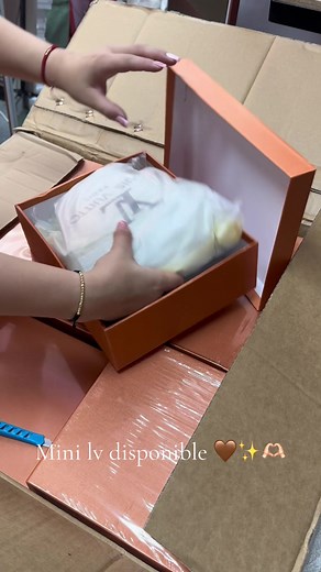 Bolsos en Cajita: Elegancia y Color en Medellín