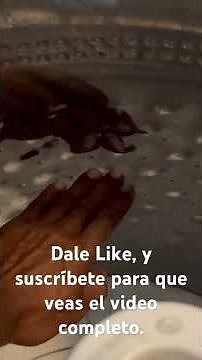 How to properly use and maintain, reset, configure or program a Maytag washing machine from 2020 ...