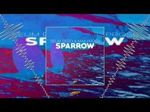 Seum Dero & Max Pross - Sparrow