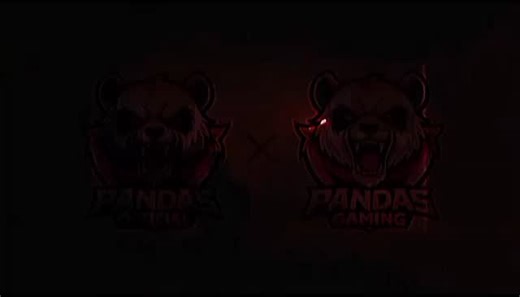 Isal FTF on Instagram: "New Logo + New name PANDAS FTF #reelsinstagram #reels #gaming #gamer #reelinstagram"