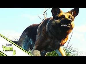 Dogmeat - Fallout 4