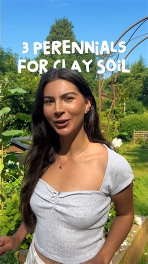 3 FLOWERING PLANTS for CLAY SOIL