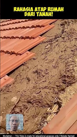 🏠 The Secret of a Sod Roof! 🌿 Cool When It's Hot, Warm When It's Cold ❄️ #shorts