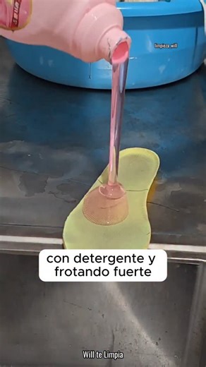 "Pequeño truco casero para lavar en casa: Secretos para limpiar plumíferos de forma correcta y sencilla. 🧽 ✨ 📚Escribe “Recetas” y recibe el Ebook completo. #ManchasFuera #LimpiezaPlumífero #CómoLavarPlumífero #PlumíferoAsíSeLava #TrucoPlumífero" | Will te Limpia