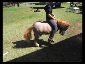 9 hand high pony fail.