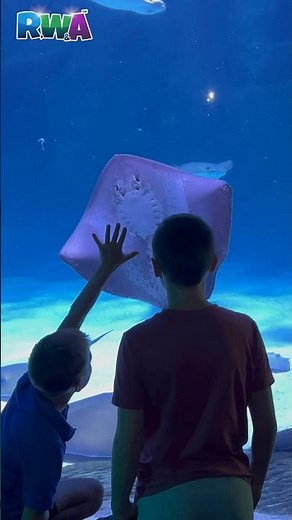 We SWIM with STINGRAYS! 🤿 🌊 Kids adventures!