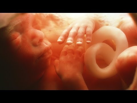 How Babies Breathe in The Womb?