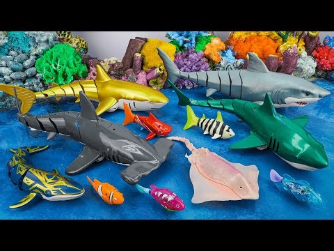 Toy asmr 🐠 Robo Sharks & Fish Toy Collection Unboxing 🦈🐠 | Underwater Rescue ASMR
