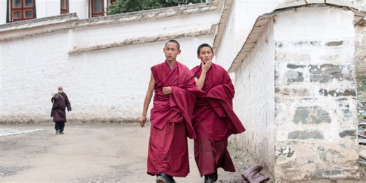 Celibacy has surprising evolutionary advantages, according to new research