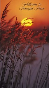 A Place of Calm and Relaxation...‪@ChillStudio0101‬