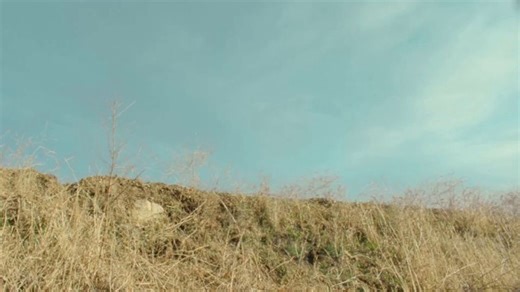 bud light super bowl 2026 pre‑release: keg featuring shane gillis, post malone, peyton manning soundtrack whitney houston