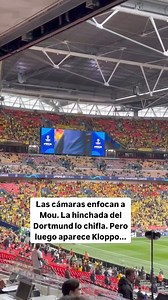 Reeee top | Yeimis Echeverry