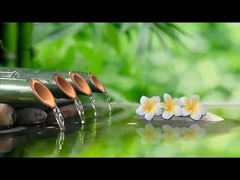 Relaxing Music 24 Hours || Healing Music, Meditation Music, Spa Music, Sleep, Zen, Study Music, Calm