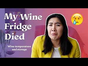 Wine Temperature and Storage 101 - A Basic Guide on How to Store your Wines and at what Temperature