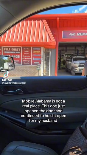 Only in mobile buddy like hurry up 😳2️⃣5️⃣1️⃣ #mobilealabama #Alabama | Mobilealworldstar251