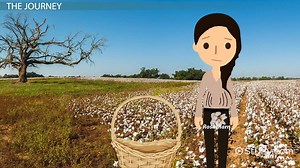 Rose of Sharon in The Grapes of Wrath | Analysis & Symbolism - Video | Study.com