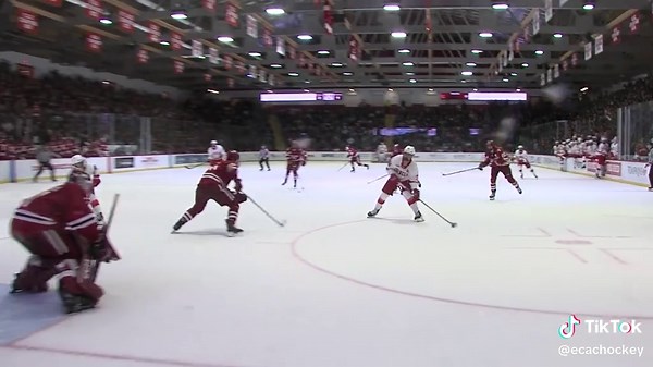 These guys put the nation on NOTICE 👀. When you have the top points, goals, and plus/minus leaders on the first team, you know you're in good company 😎. Here’s a deeper dive into the elite talent leading the charge in #ECACHockey this year: