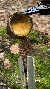 20M views · 380K reactions | Survival Skills: Campfire made from natural materials in the wilderness. #survival #skills #camping #campfire #ideas #lifehacks #outdoors #bushcraft #forest #fire | Sergio Outdoors | Facebook