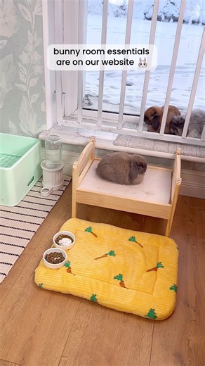 Transforming Your Space into a Cozy Home with Tokihut