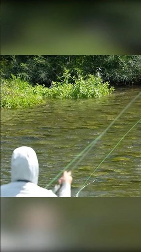 Superb Dry Fly Fishing – with @TroutHuntingNZ