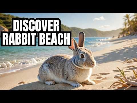 Exploring Rabbit Beach: Italy's Hidden Paradise