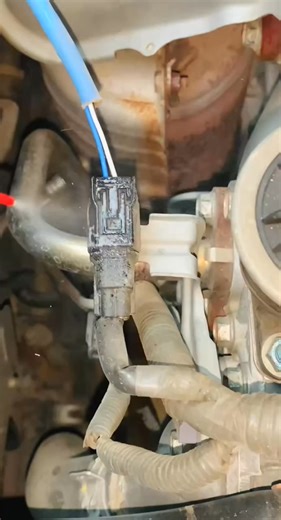 Oxygen sensor clean#with WD 40#trickvideo #pageforyou #machaniclife🧑‍🔧🔧🔧💯👌 #fashion #fypシ゚viral #handskill #custom #india #style #craft #reels #1millionviews #explore #viralvideos | Henderson Cole