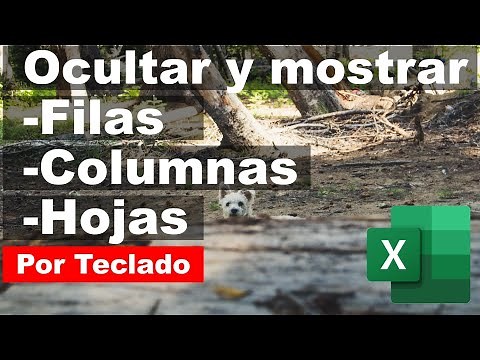 ¿Cómo ocultar y mostrar filas, columnas y hojas por teclado?