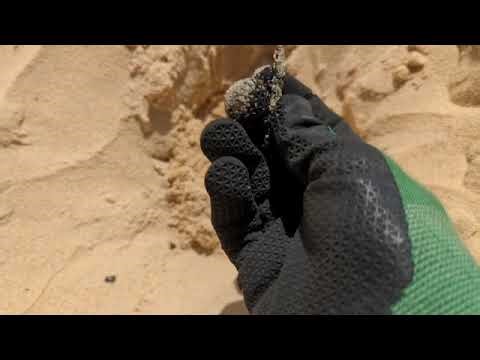 Metal detecting on NSW South coast beaches - day 1