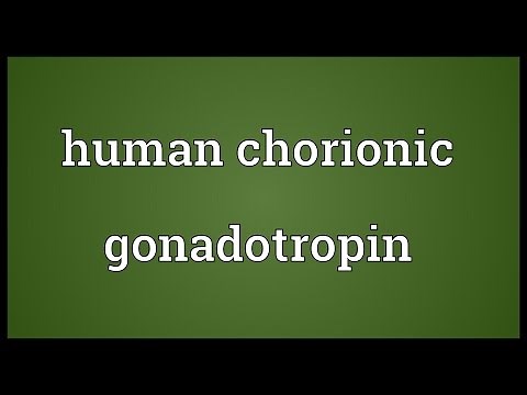 Human chorionic gonadotropin Meaning